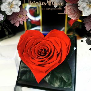 Rosa eterna – Detalles Chile